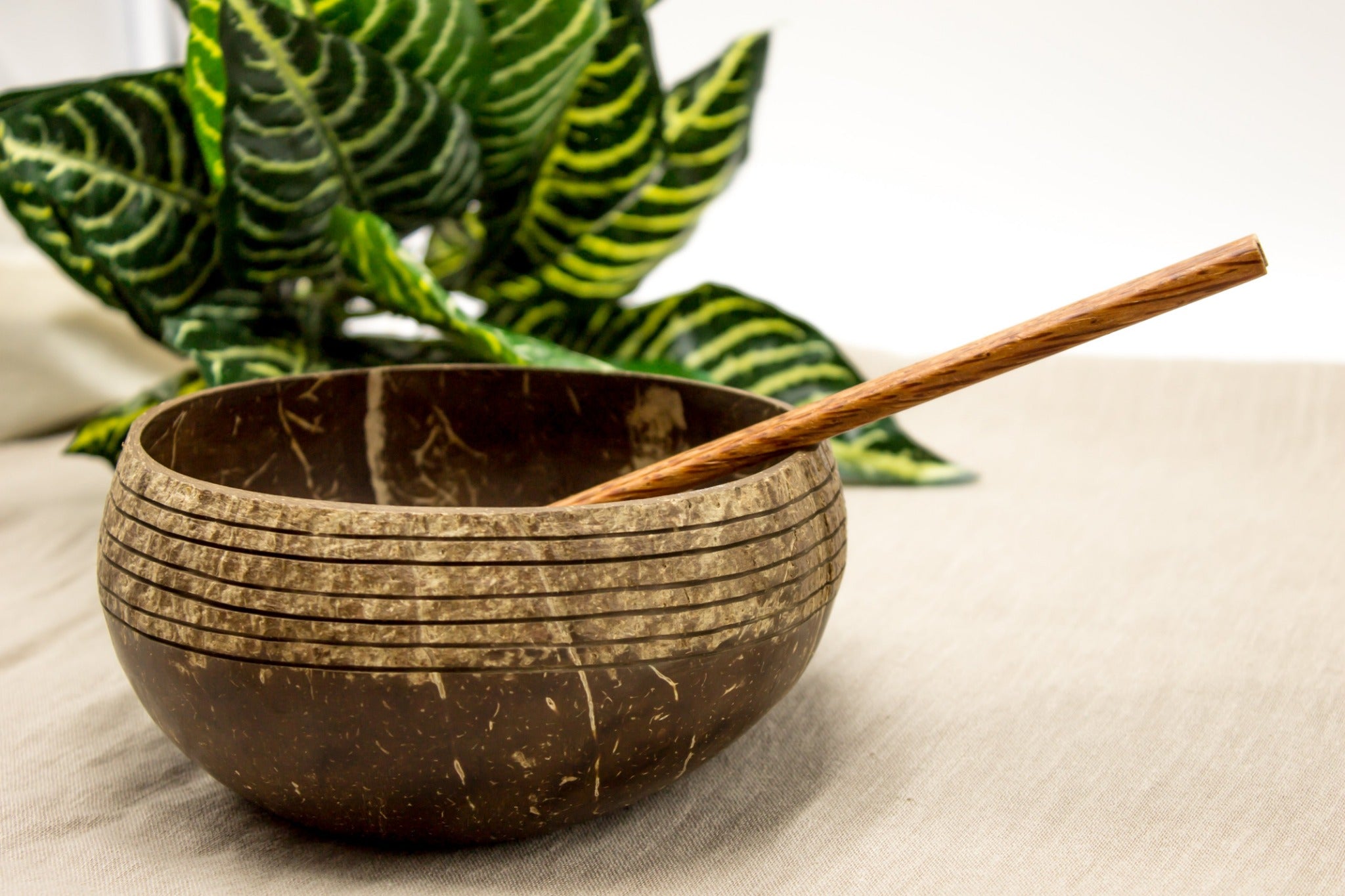 Around The Rim | Boho Coconut Bowl