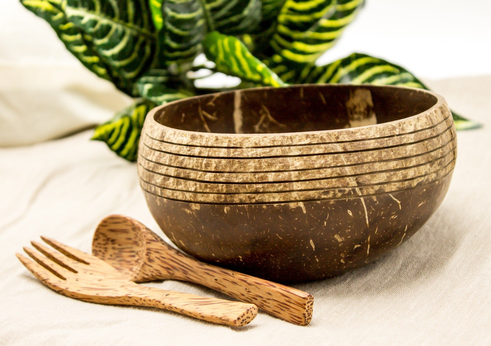 Boho Coconut Bowl