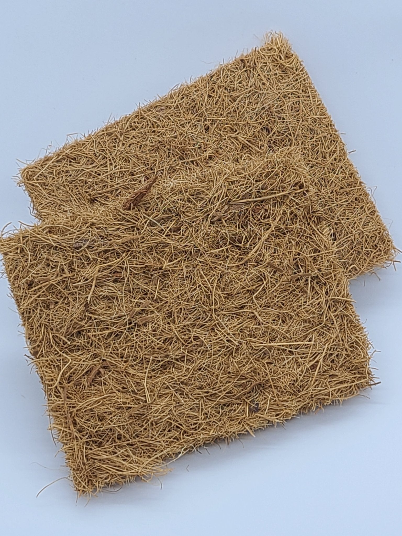 Coconut | The Sustainable Kitchen Pack