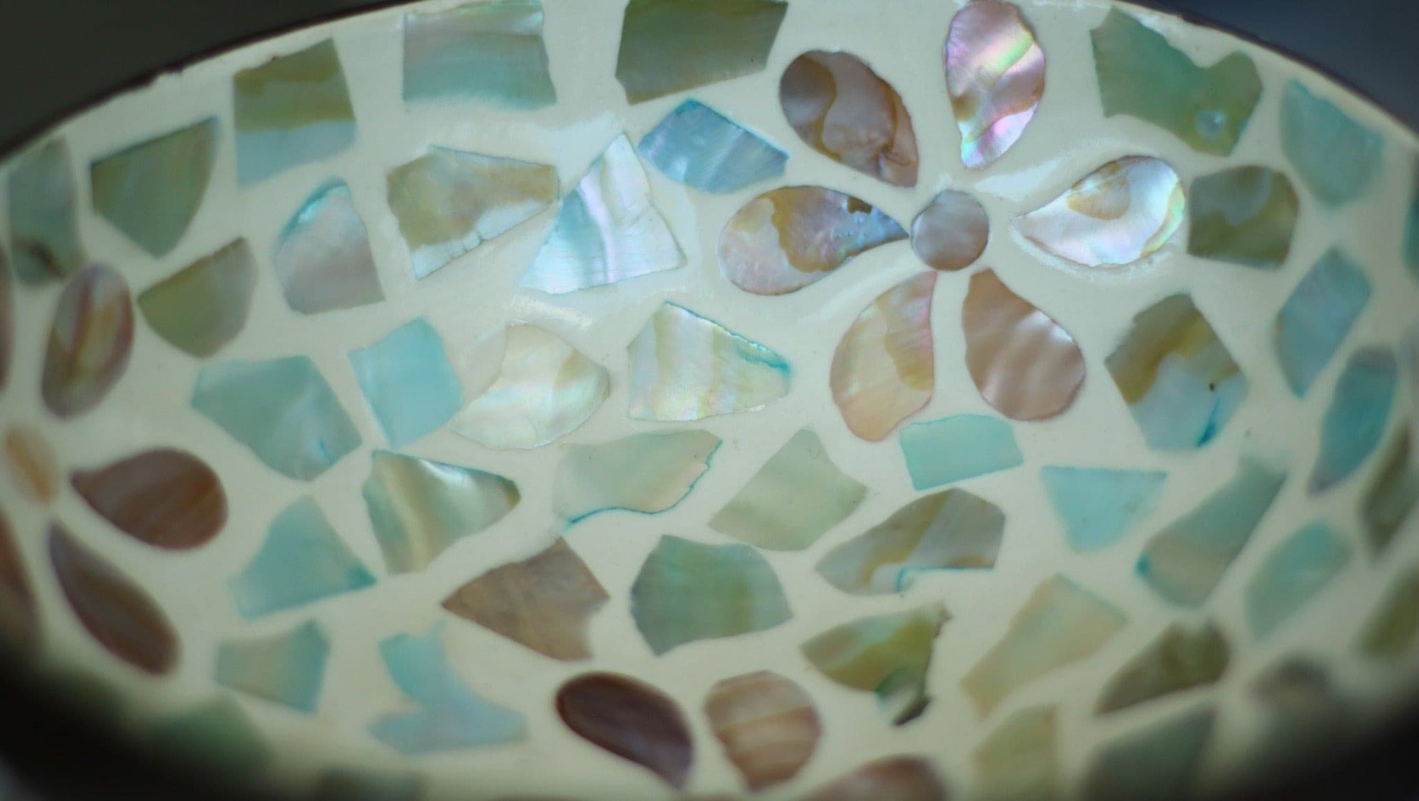 The Blue Petal | Coconut Bowl.