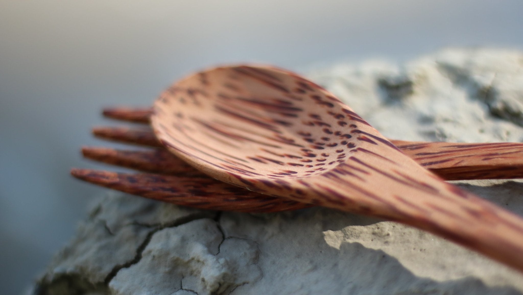 The Duo set | Wooden Coconut Spoon + Fork