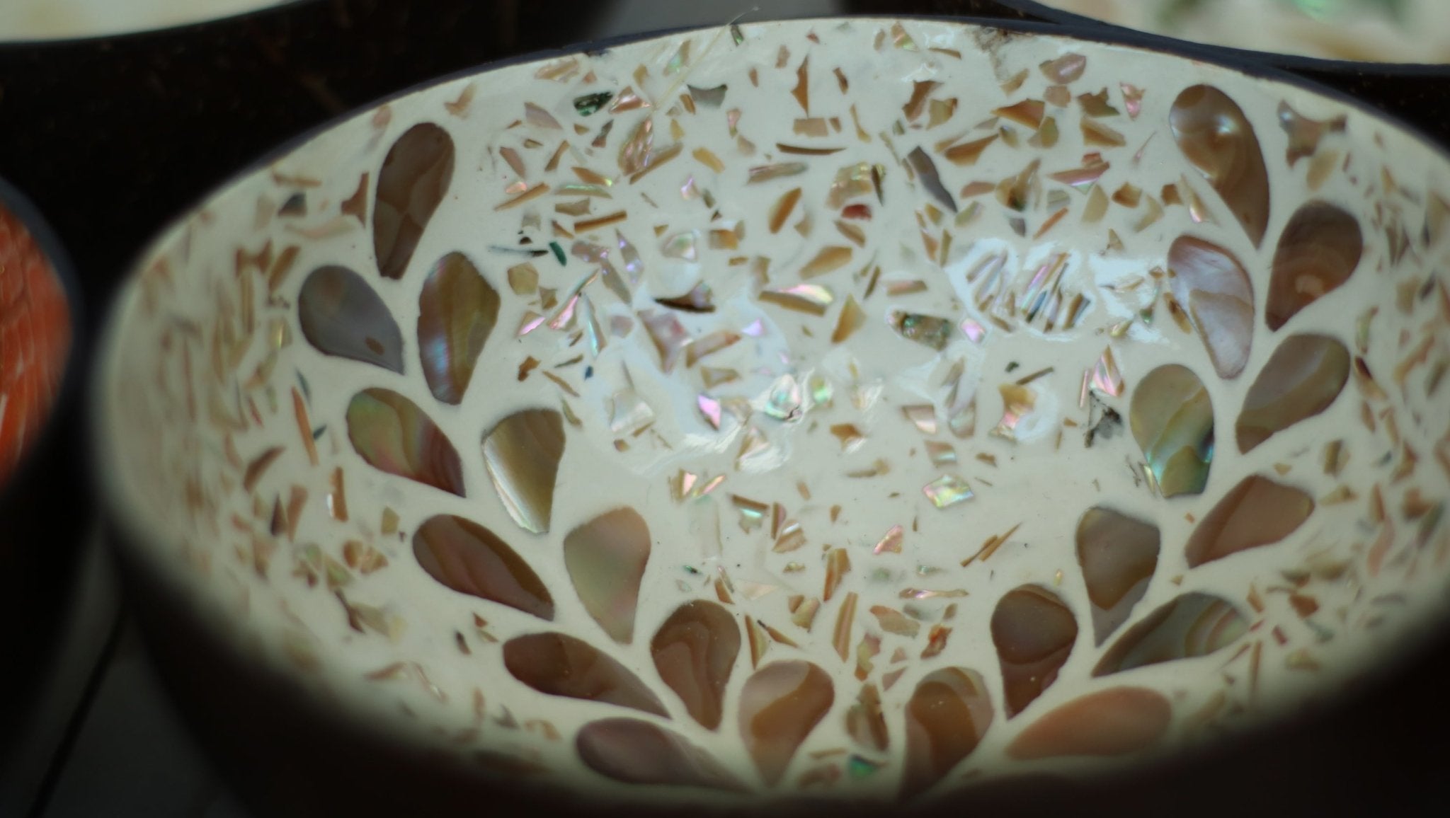 The Leafy Wave | Coconut Bowl.