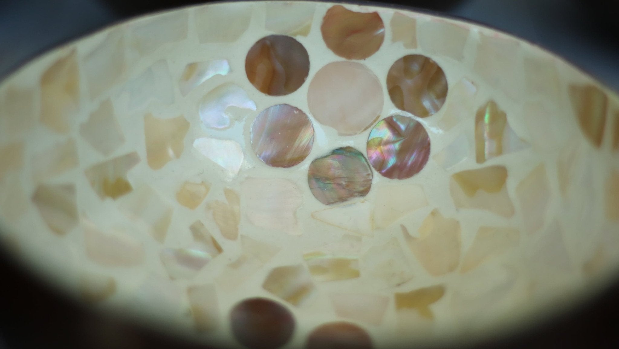 The Oddly Unique | Coconut Bowl.