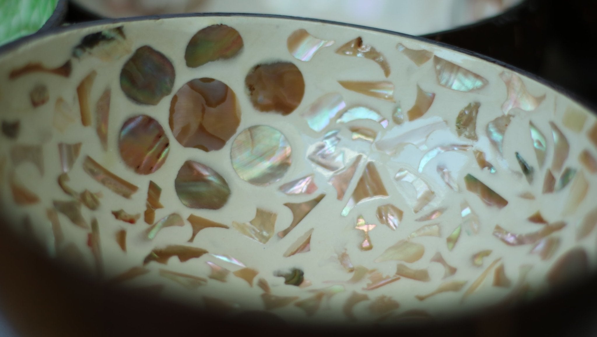 The Sand Dollar | Coconut Bowl.