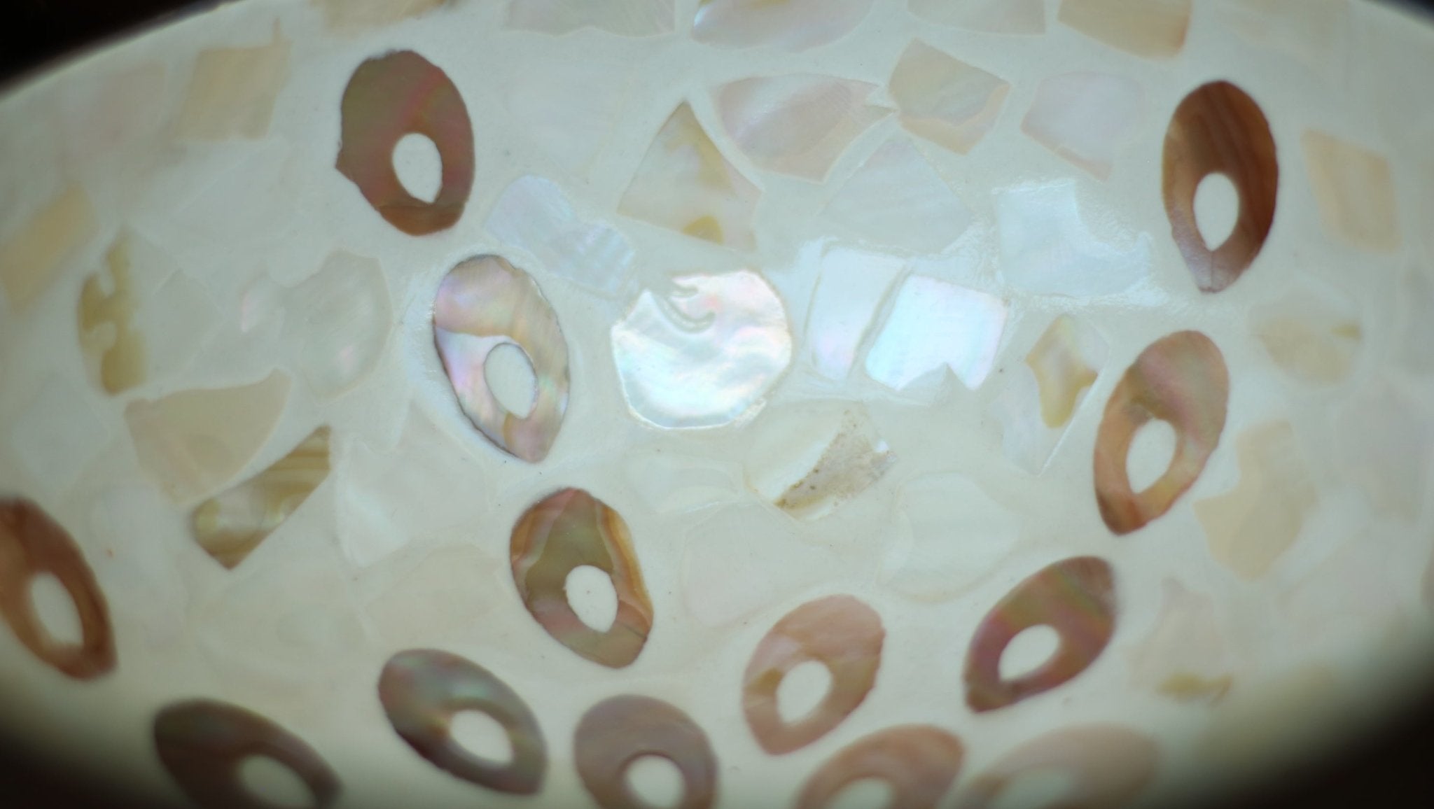 The Starfish | Coconut Bowl.