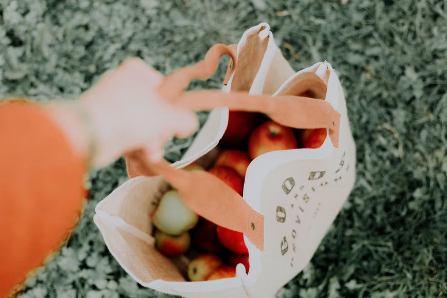 Top 10 Ways to be More Sustainable