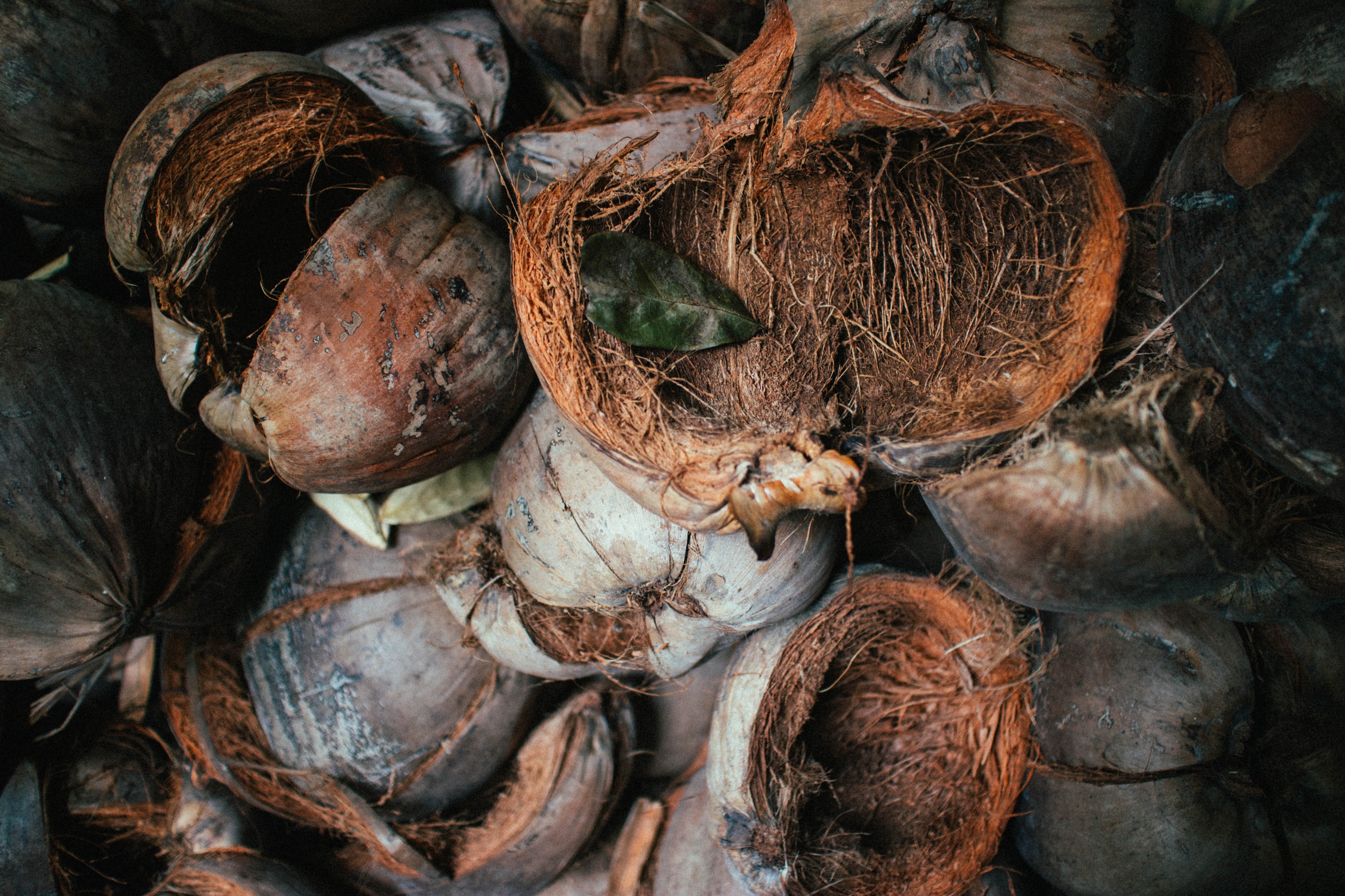 Repurposing Coconut Shells