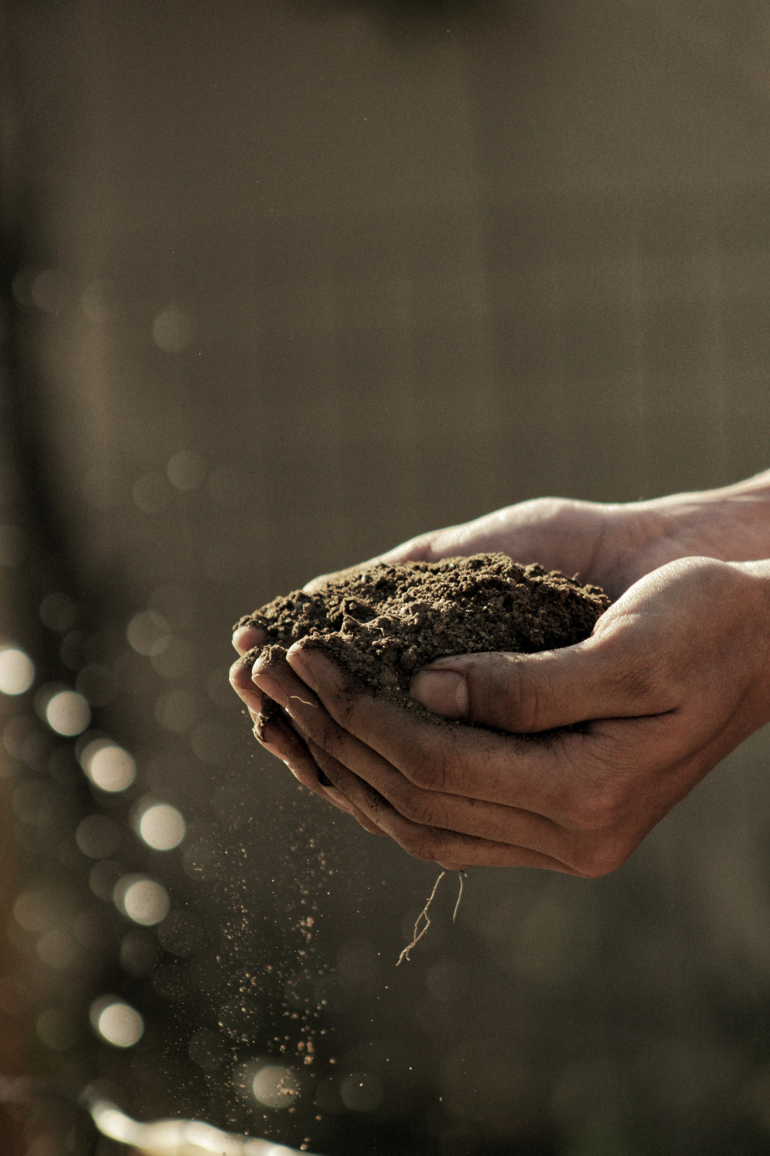 Unmasking the need for a renewed commitment to sustainability after Covid-19