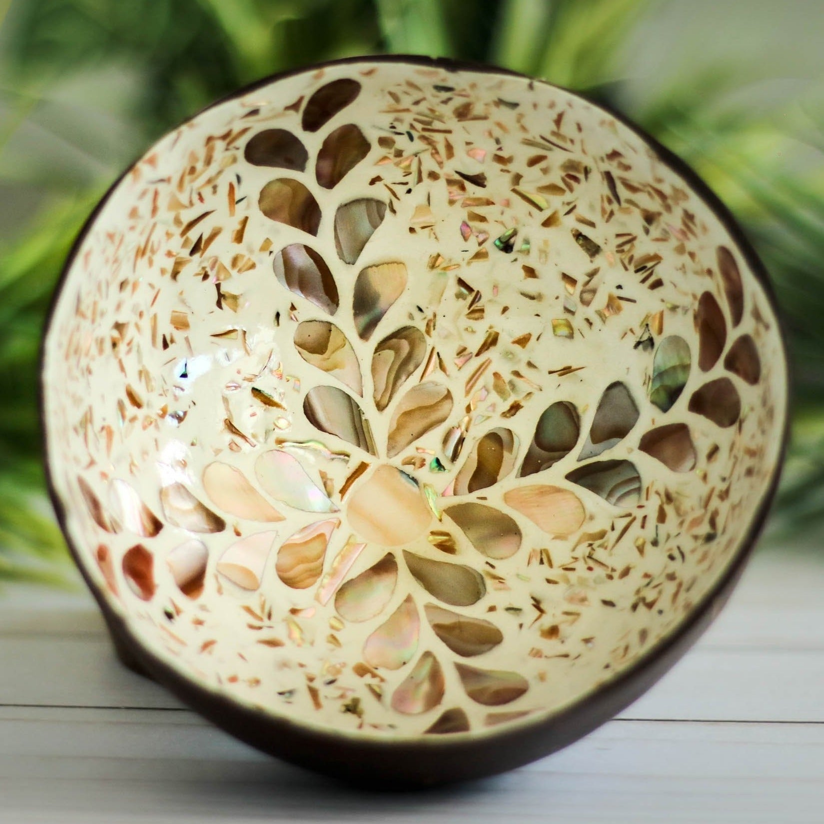 The Leafy Wave | Coconut Bowl.